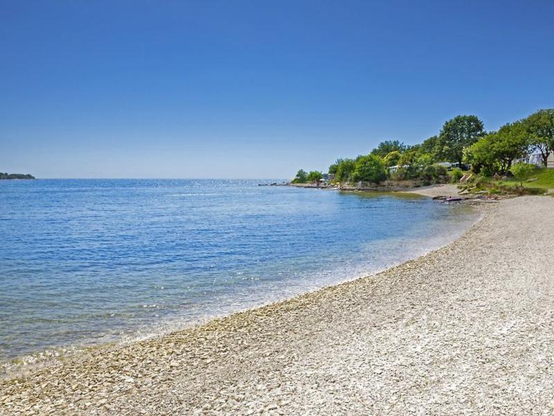 F6869A86C09DC256D74A4E2F672EF6A7