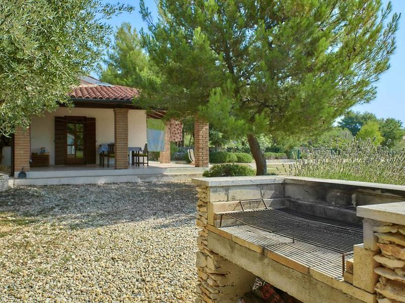 D313120977C36A5791B51430DFADDA50