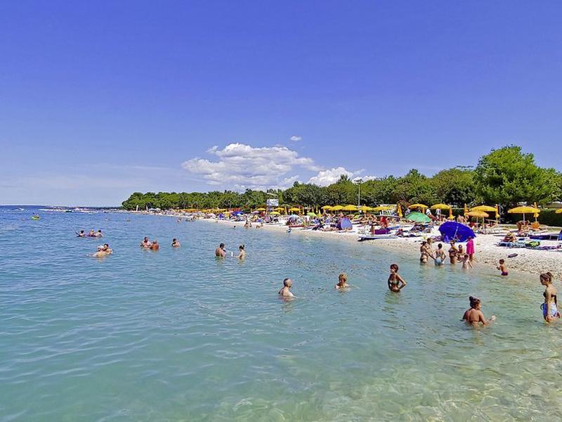 E44FBE4DB5C774C22E5FF215B2AFA74A