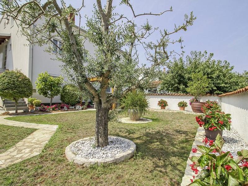 8A6DD92F6C0304043CA9DB762ED94393