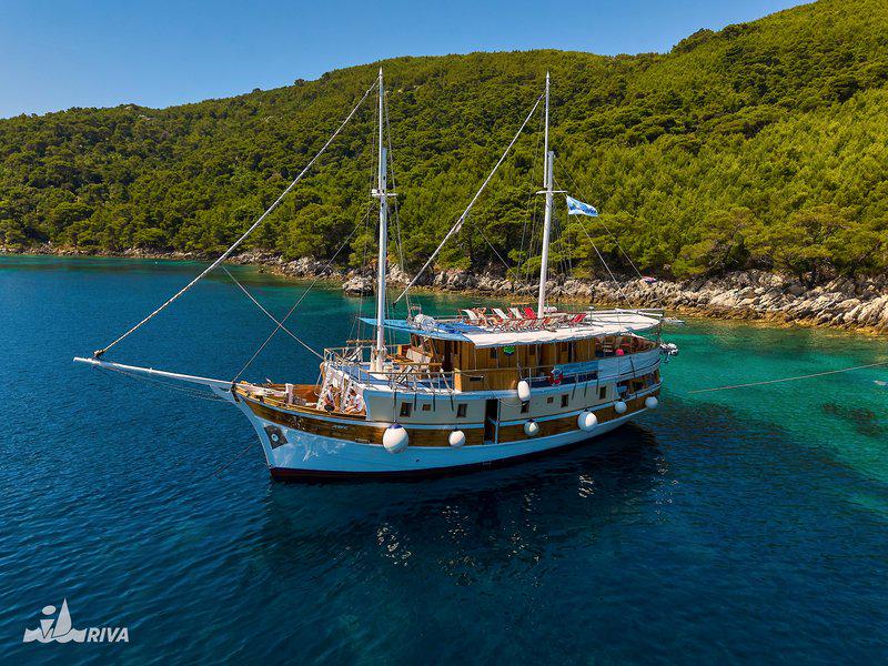 B27F7BB9DB1D0631D5BE78E6CDA919CE