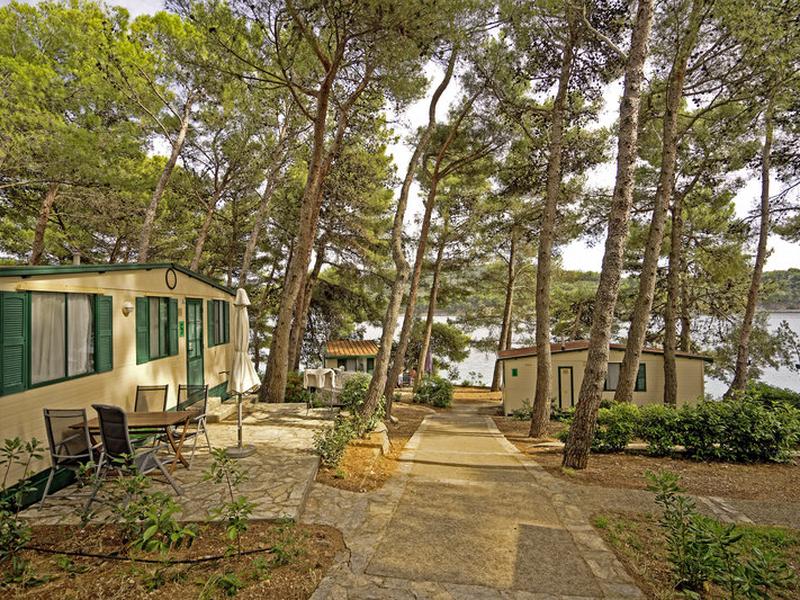 377BE05F7B3722AFE5D6AF93982DB046