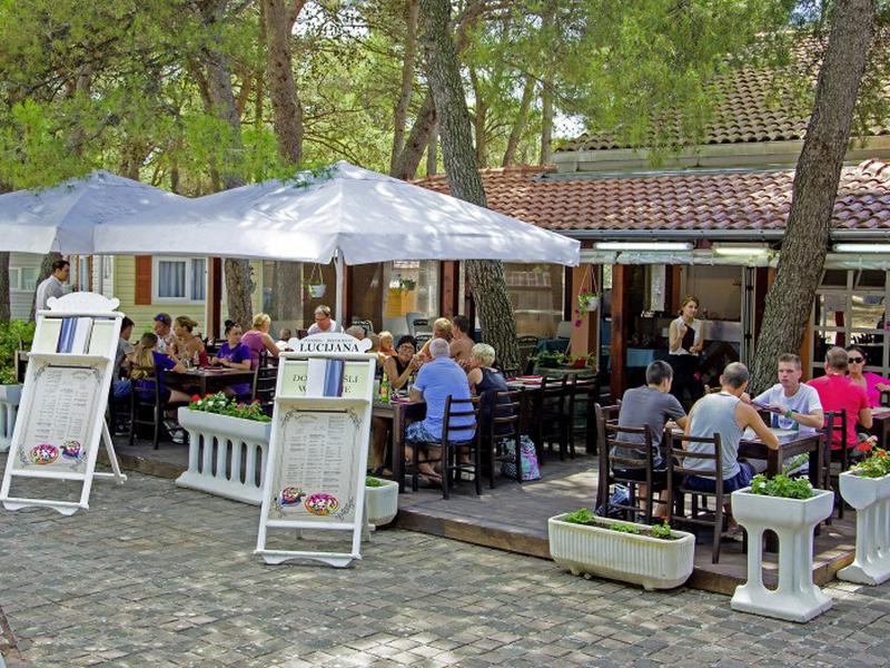 604FFFED1D3D4F92C88DC558EE4D531E