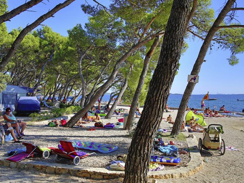 DE8241AA422A025C878D182BBC05ABFC