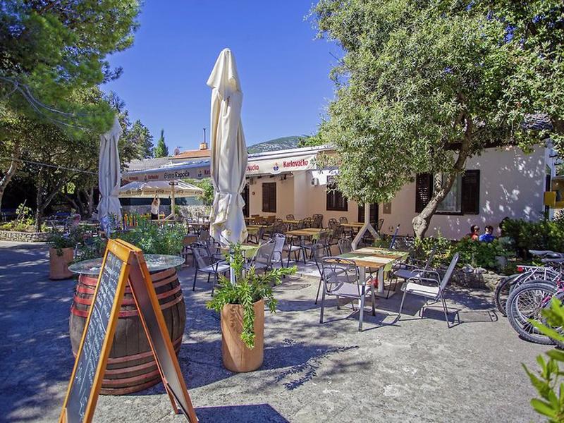 66185FD30E0837FDA7FE66EB378296C2