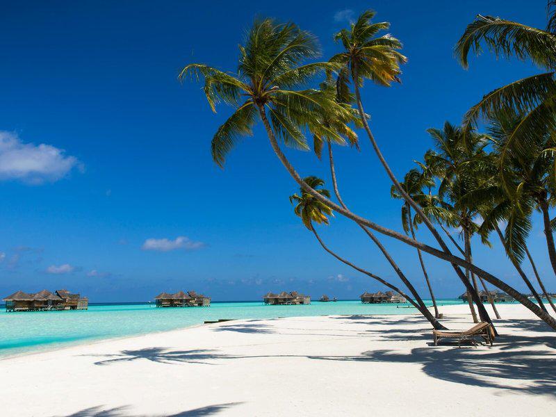 D4ADC0338FD9A070CA1F35F0C99C6021