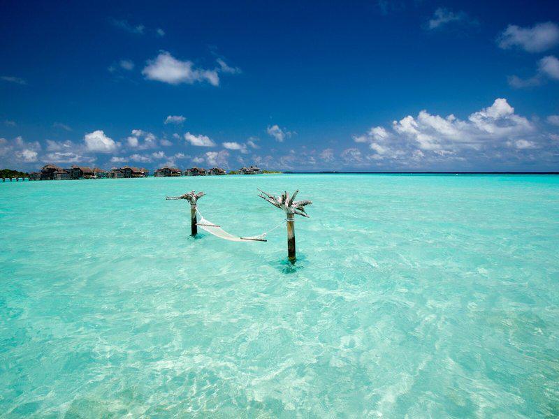 C0A5CF8723878012BAE785B86359377A