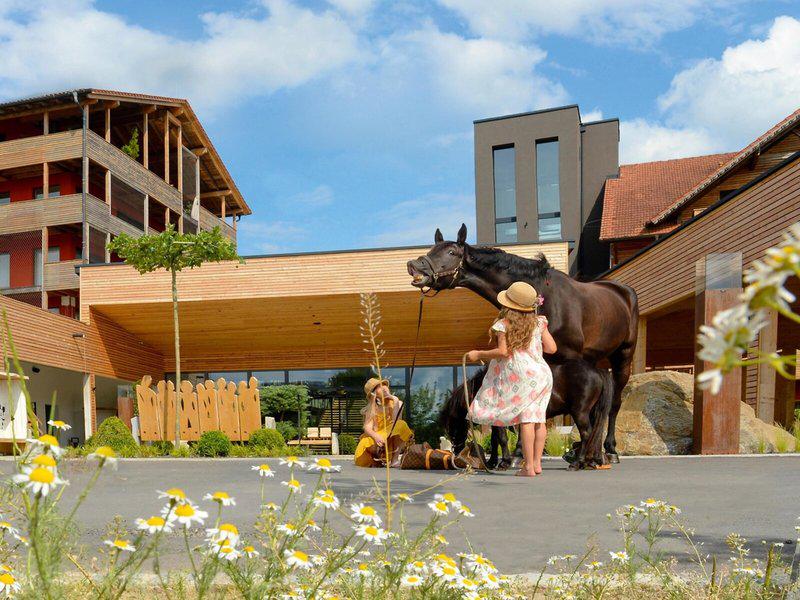 E2D4D11CA02C2A53FF11DDB45EEF2D8C