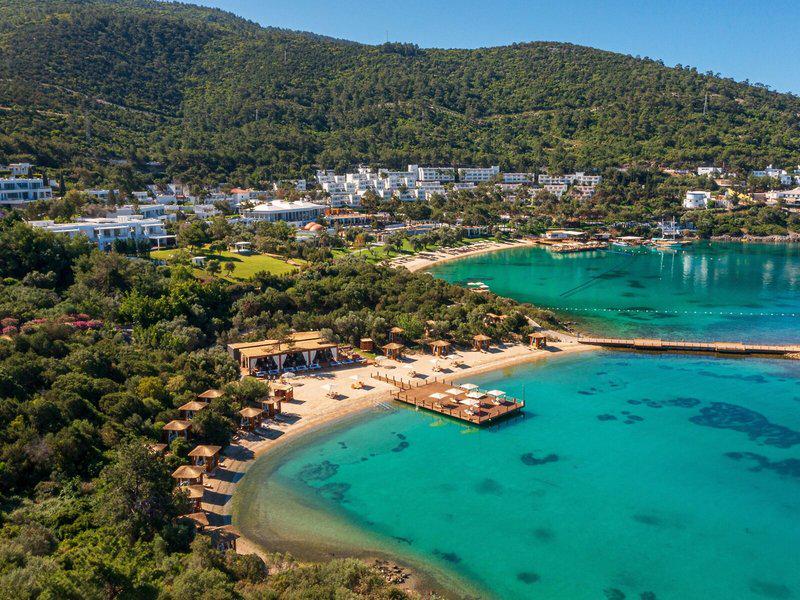 E6BFD4FF229DC00BC6A4F7CFC31F4C0B