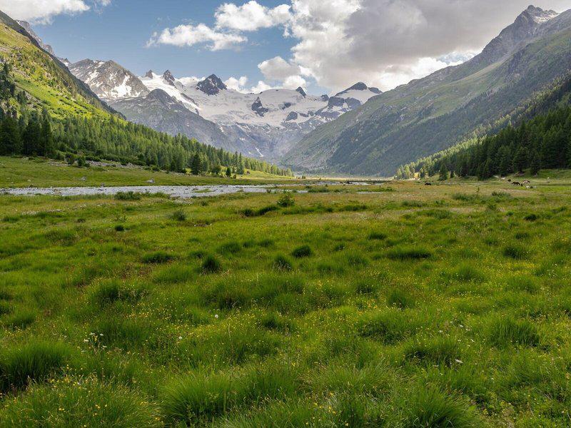 E04A5755209648E1D2707659C2F896E5