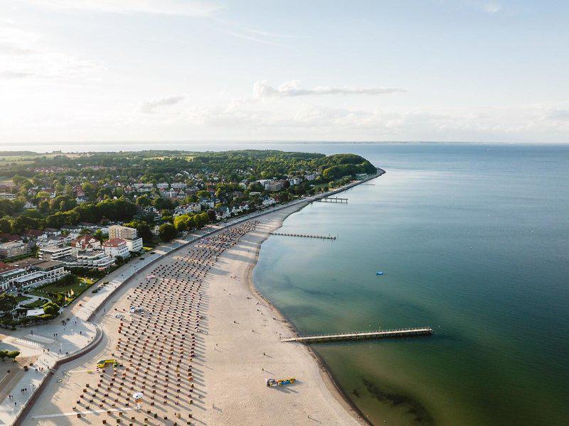 8B88DD1155BA5DA02A12324B65589E41