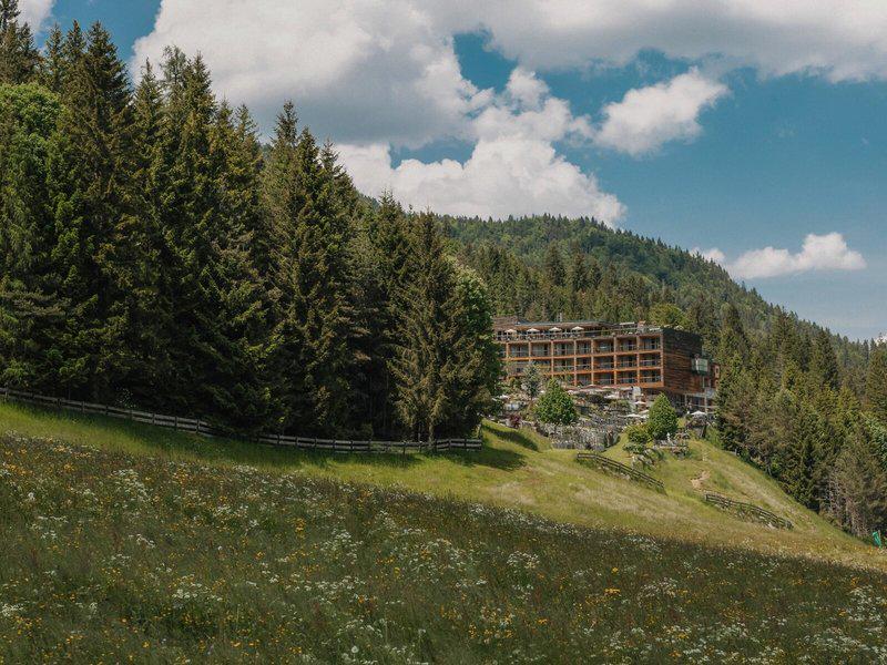 00FF7768B9613734FCAF5E8320452C7B