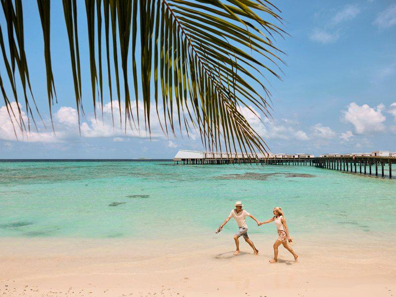 3D9F2D2952206D87BBBE540D7AD3D617