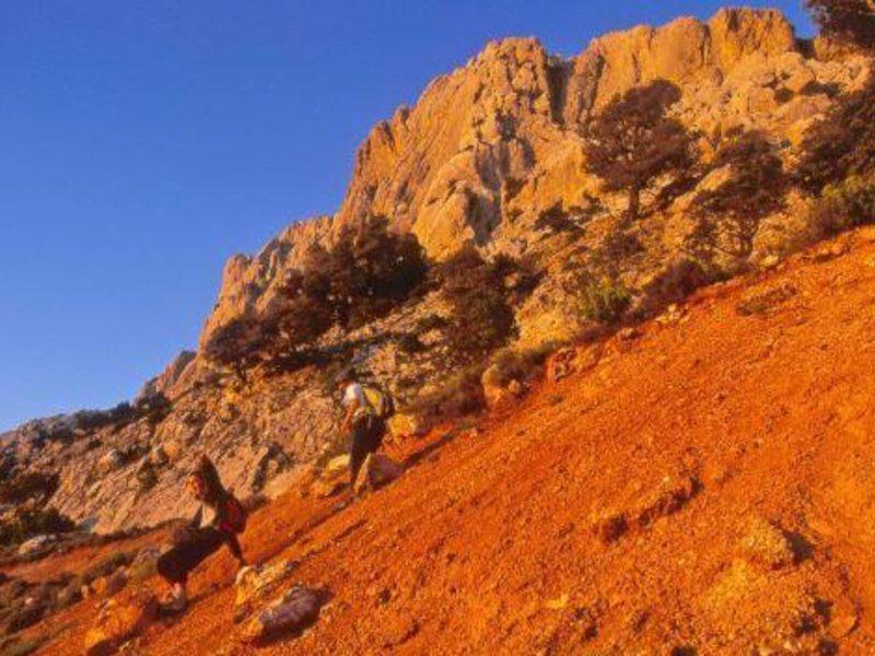 7381B97FB0F99E81B278EFC0F7778C0D