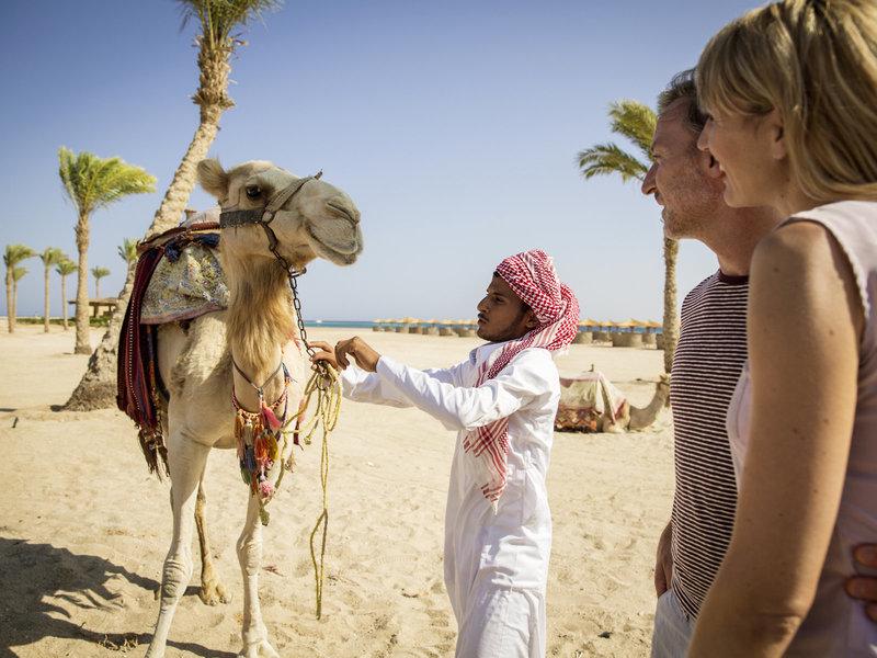 5A4BDF127D2C304D36E0CAD07EDF95DF