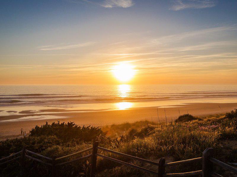 1466265351CEAFEB6C9473C590D7F1F6