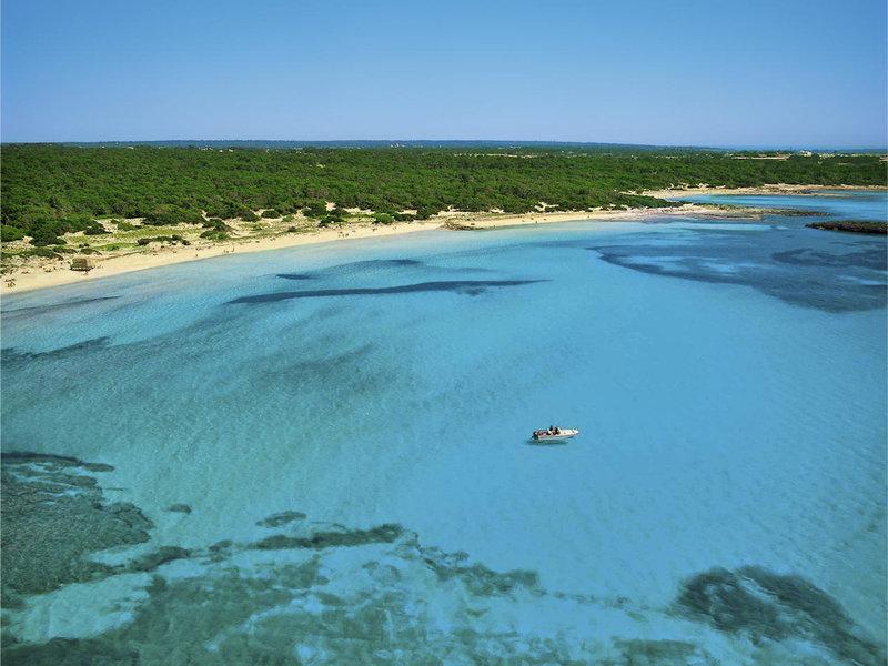 F986DD9EB7D6EAE22C80D56F4A0BF743