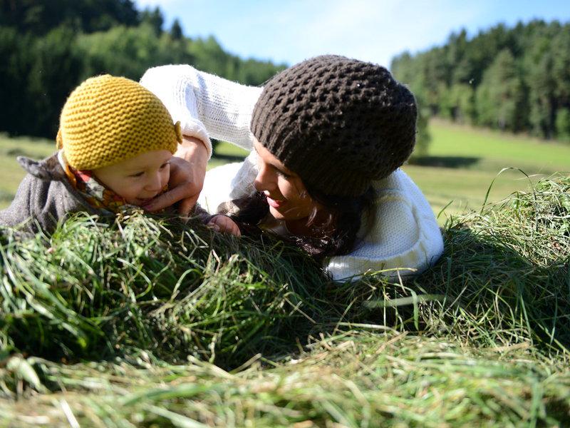 D7B7E3A845FE3BA5D28D9A7CEC402A8A