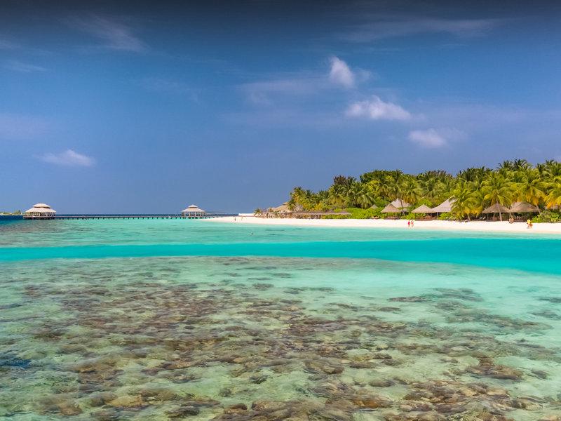 7A9F92E9712D1948679B71AAAFAAC800