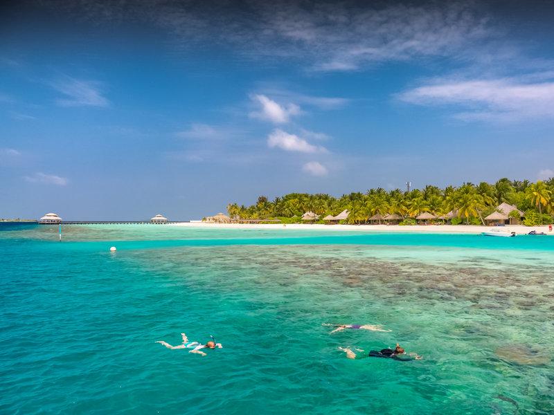 897F17D60AD5974EAB4106E8CD96DF84