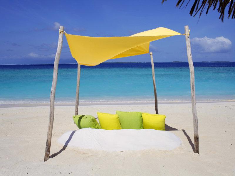 81FB668E6C65B905D3ED3E547D211969