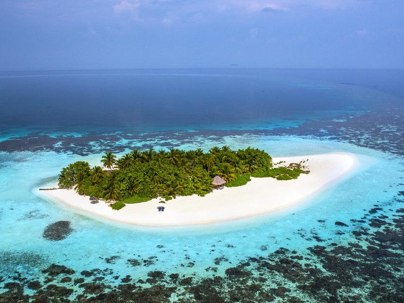 049ED96B76E431EFDF530C6892A7C977