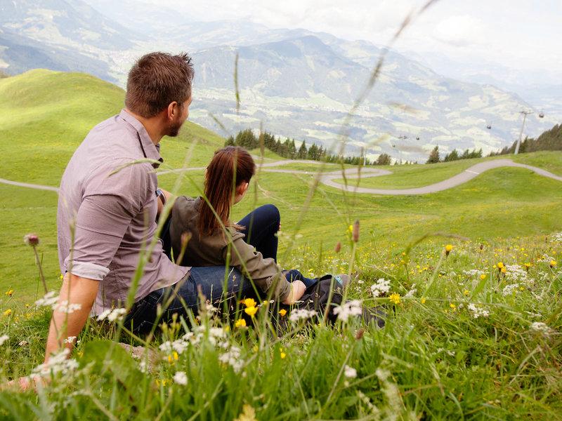 943F36B69C3644FF151D4230E7CAD121