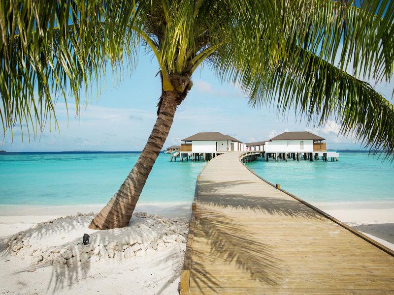 71DC0E5C82E27BF8B9872E813D136304