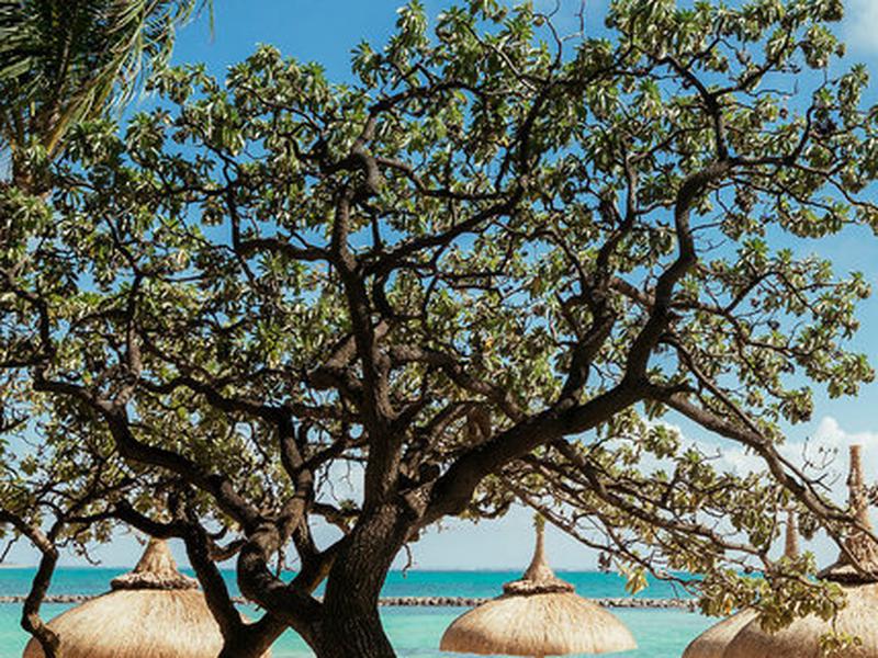 2C3A314990328844038087E7333E0BDE