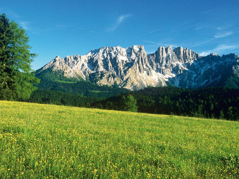 9FF3CBE9D9EAB203832629F8EF004A46