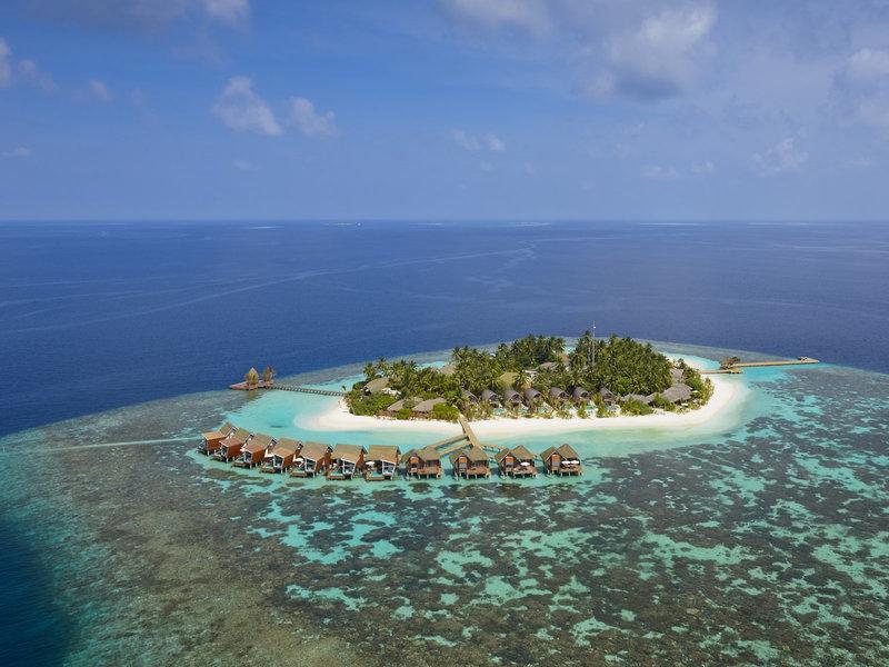 92D64929FAD9D56D9278CA2EDCBA9F1D