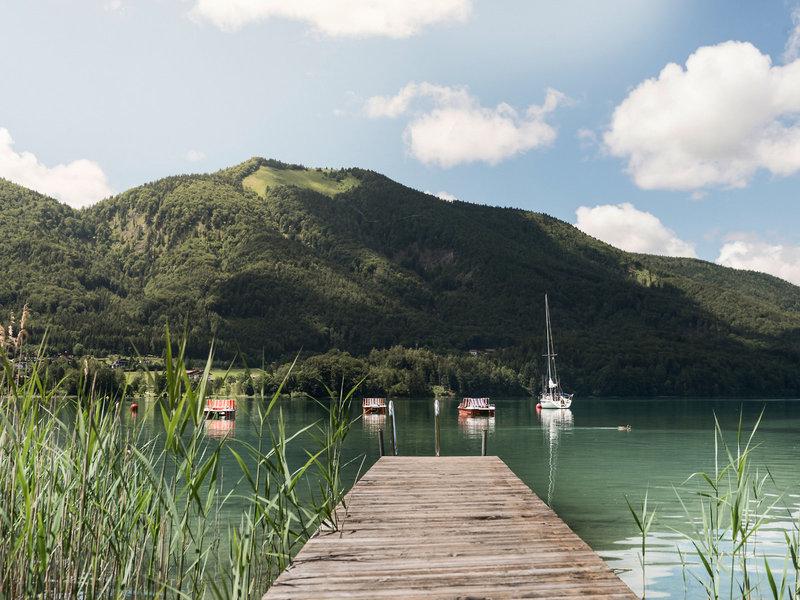 C76745A3FEB64920C16A0C7AF976B19D