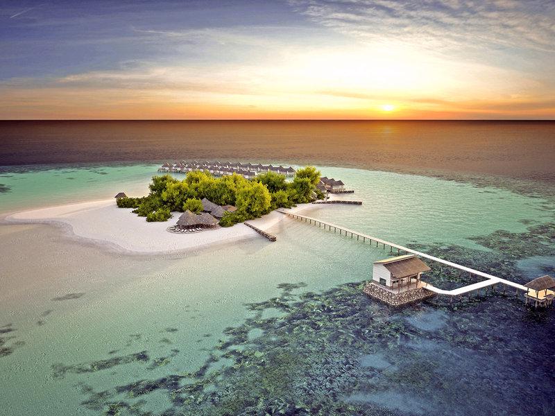 DF9C5571B3F8784585364D4D0C637713