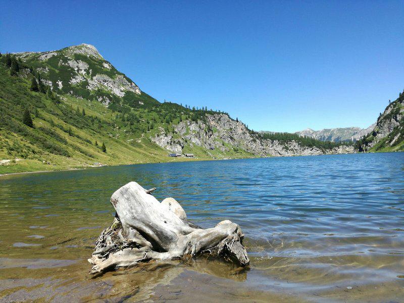 DAC9C6B279896BC9B086F4D433916165