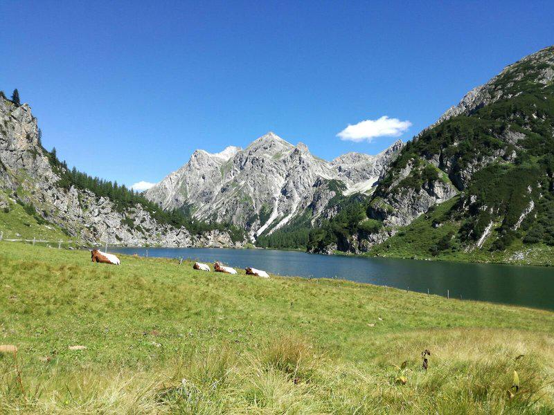 8C11AEB73290B1BA836A446274530E41