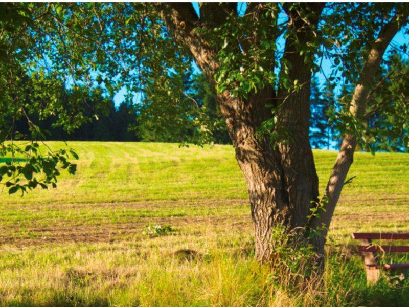 868F88BD06A4B57A8D42560056569634