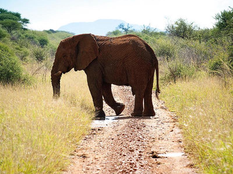 244557DB5862CB5958A51D40D3535972