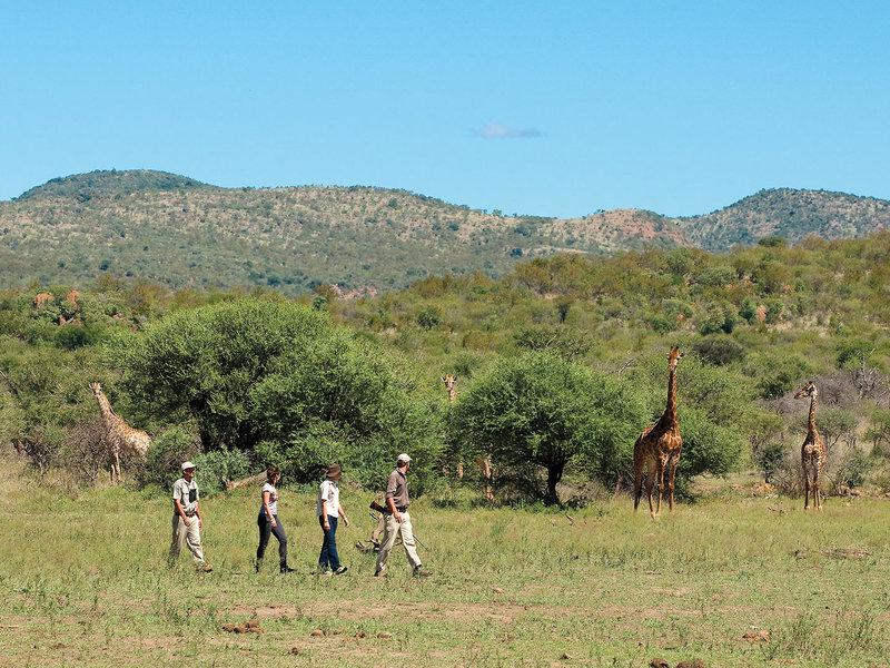 7E17E33CEA6CEBE93DA00B2AEBE33284