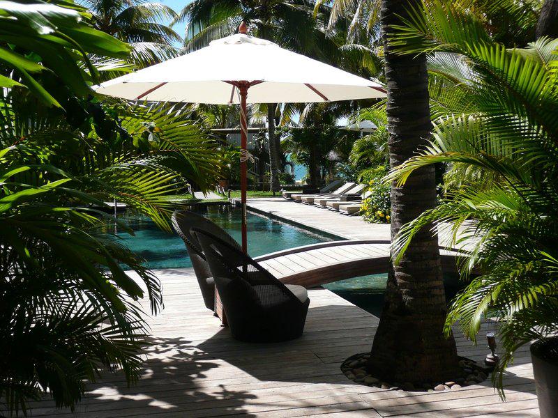 5621335B2B91A9EA1DB964A7EA9E688F