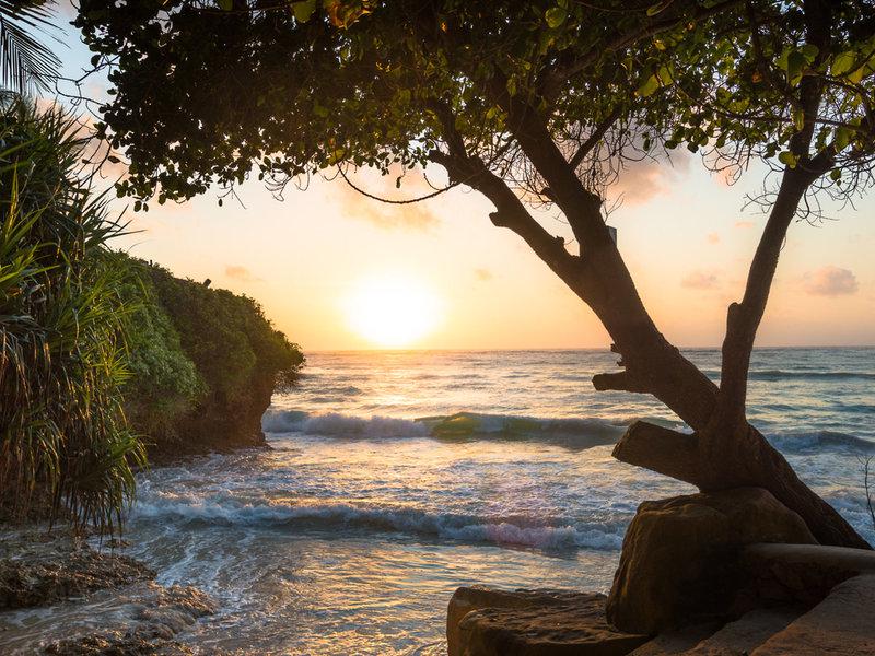 CD0D54F33FD732DB52DAB99D919BC268