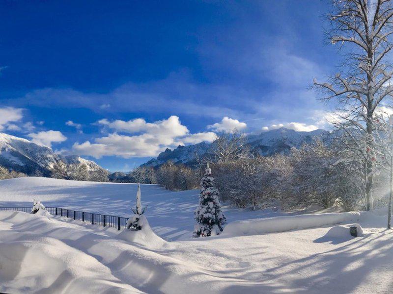 758DD5E6C56EFE5D4D1EE0F0A3A85489