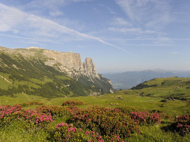 AC6E177AE1DF54F010B436DBB5084662