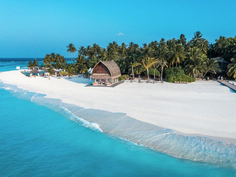 386A95B2CCB1AA12CC96A4CCB54943F6