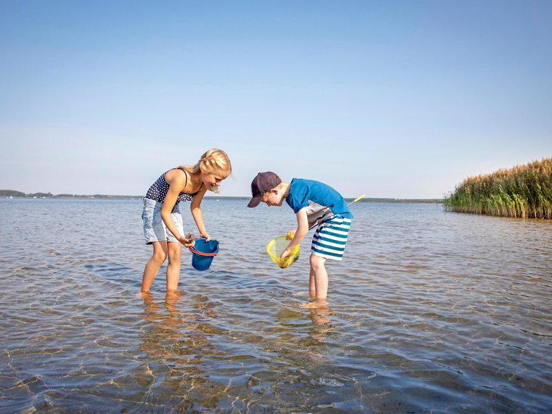 95AF038A91CB7C7F643E20102AA3DCED