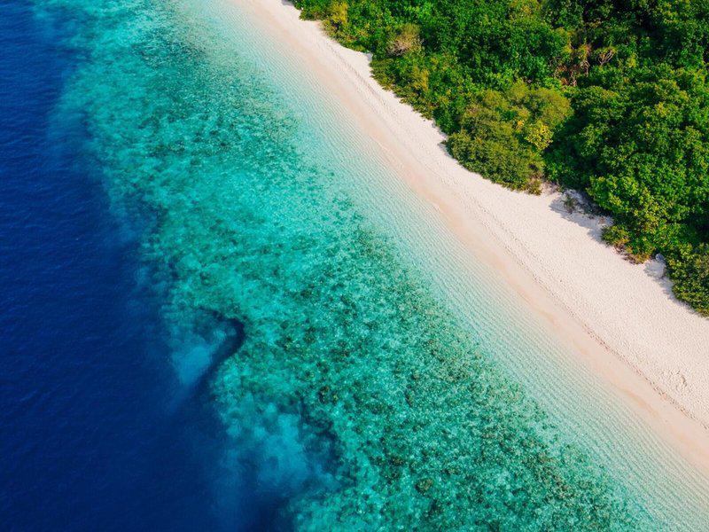 99A38650149569CB4028E94E7BDC5B2B