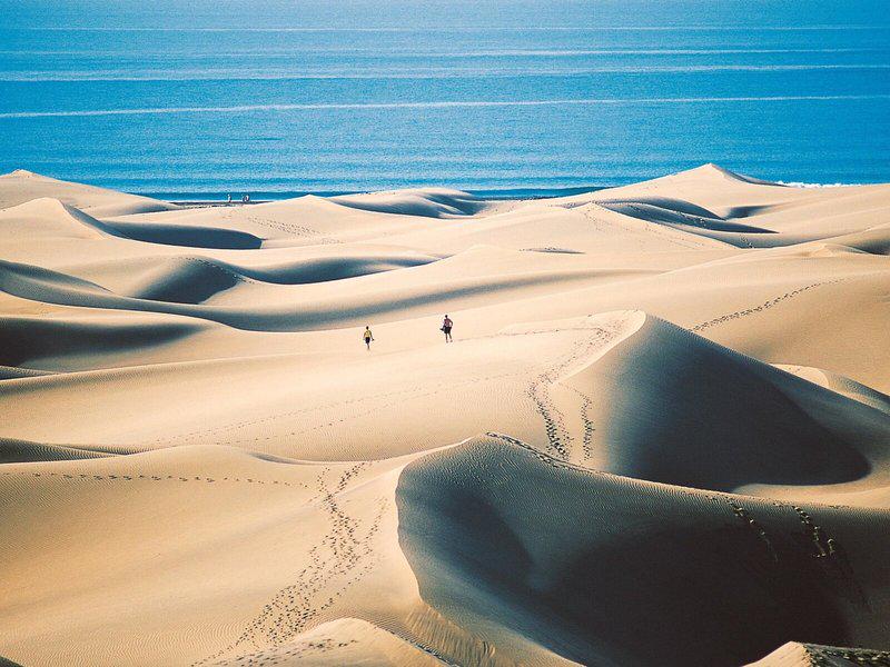 2C20BA0F240E222A85168D522FD5A77E