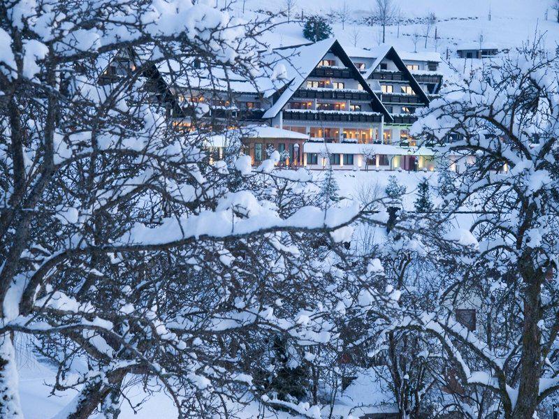 81CC50C3E799B029F885A42360C03D64