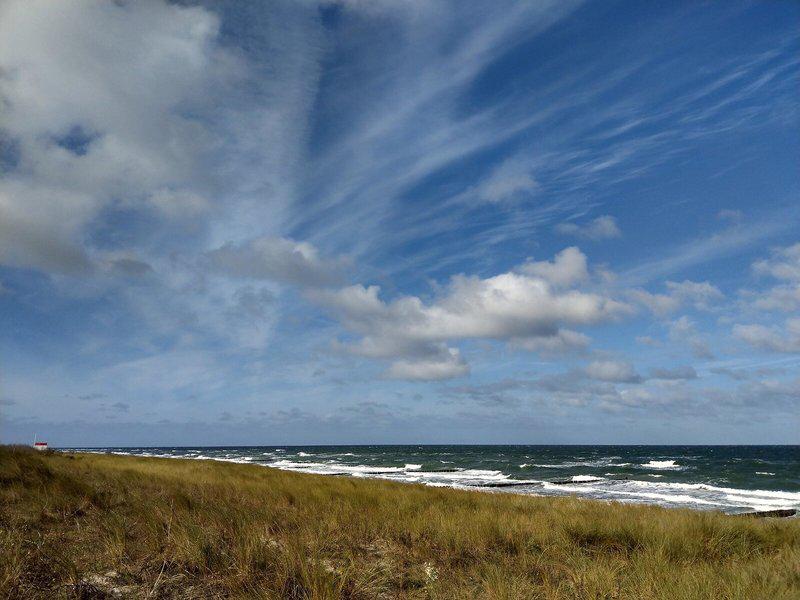 99FE3EE8D854F04934577021B5E9393B