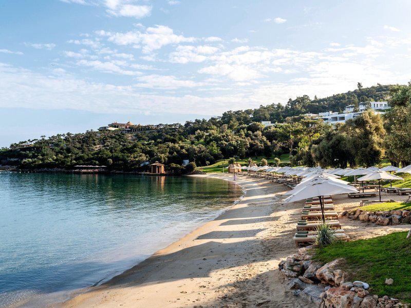 8463AE3465BBC4F3A2B2A219BB628944