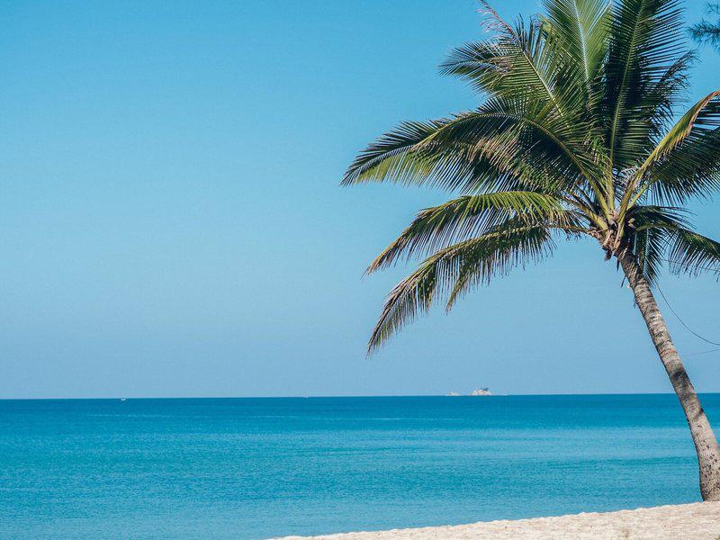 AABA9782EA9D0C803AF778D0484F2048